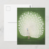 Peacock Painting par Ohara Koson Carte Postale (Devant / Derrière)