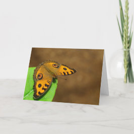 Peacock Pansy Butterfly Kaart