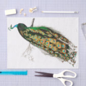  peacock-papier tissuepapier (Craft)