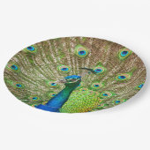 Peacock Papieren Bordje (Gekanteld)
