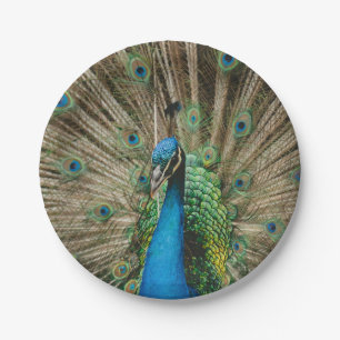 Peacock Papieren Bordje