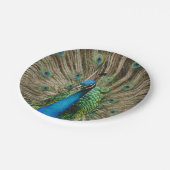 Peacock Papieren Bordje (Gekanteld)