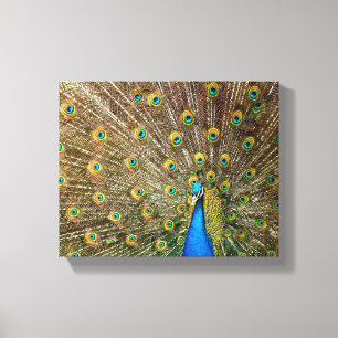 Peacock Pattern Peacock Artwork Painting Animal Ar Canvas Afdruk