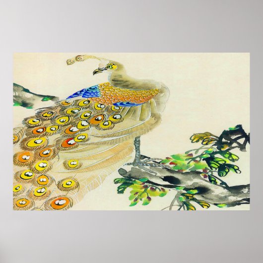 Peacock Permanent poster Tekening 1 (Voorkant)