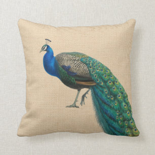 Peacock Pillow Colorful een van de twee bijbehoren Kussen