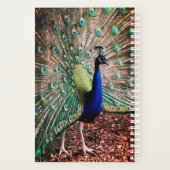 Peacock Planner (Achterkant)