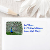 Peacock Pluim Mailing Label (Insitu)