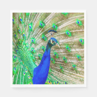 Peacock Plumage Servet