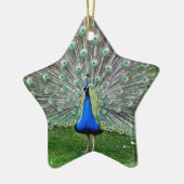 Peacock Plume Ornament (Links)