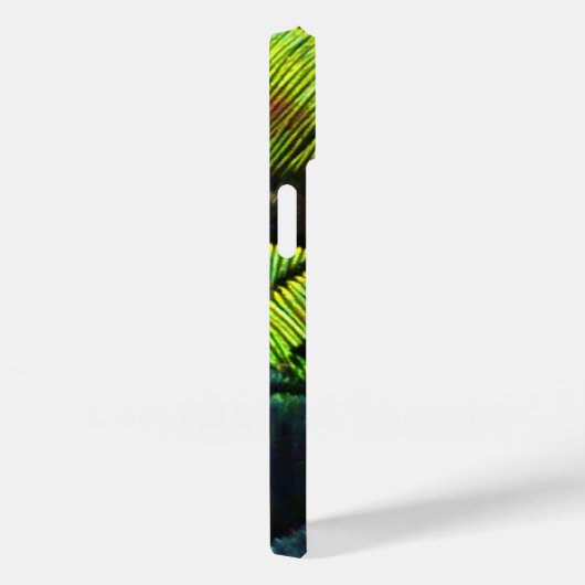 Peacock plumes gros plan aqua coque iphone (Verso / Droite)