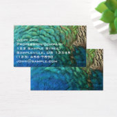 Peacock Plumes I Colorful Abstrait Nature Design (Bureau)