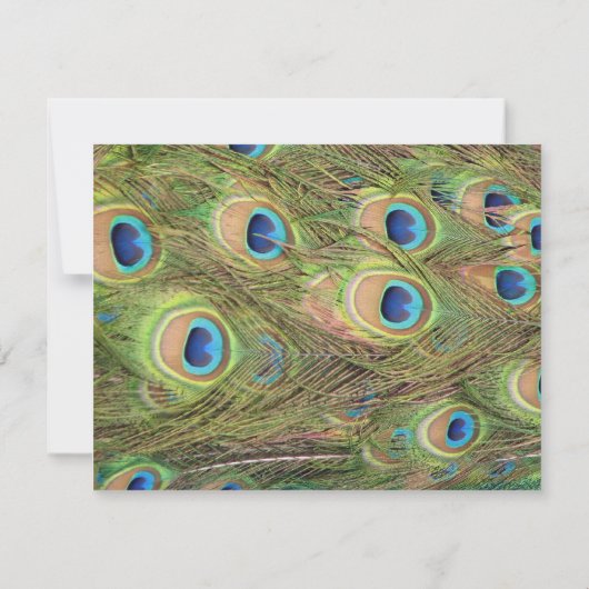 Peacock Plumes Weddenschap Kaart (Achterkant)