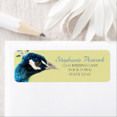 Peacock Portret Foto Retouradres Labels (Insitu)