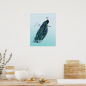  Peacock Poster (Keuken)