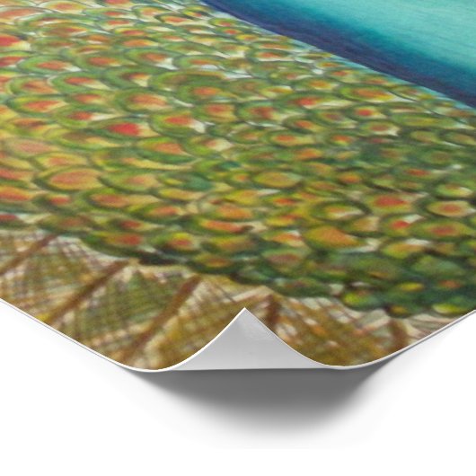 Peacock Poster (Hoek)