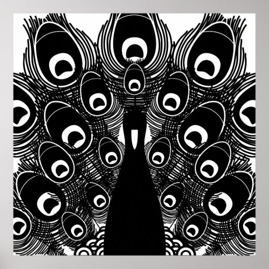 Peacock Poster (Voorkant)