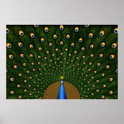 Peacock Poster (Voorkant)