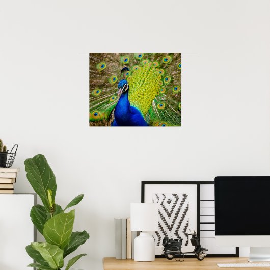 Peacock Poster (Thuiskantoor)