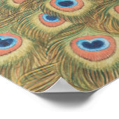 Peacock Poster (Hoek)