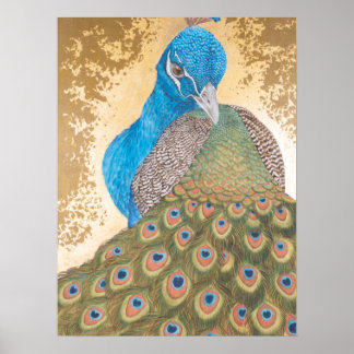 Peacock Poster
