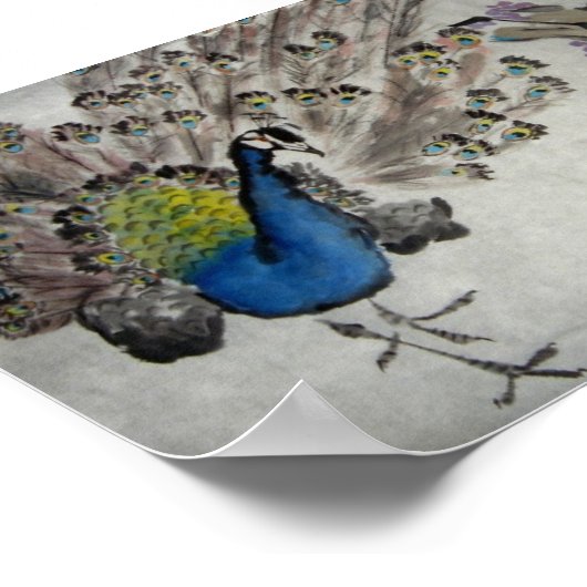 Peacock Poster (Hoek)