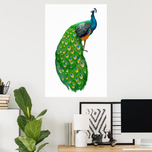 Peacock Poster (Thuiskantoor)