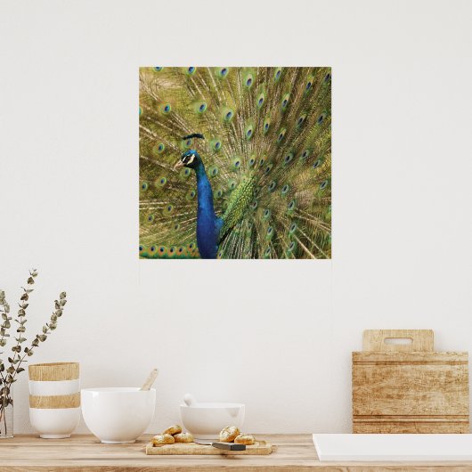 Peacock Print (Keuken)