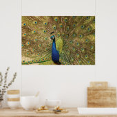 Peacock Print (Keuken)