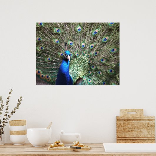 Peacock Print (Keuken)