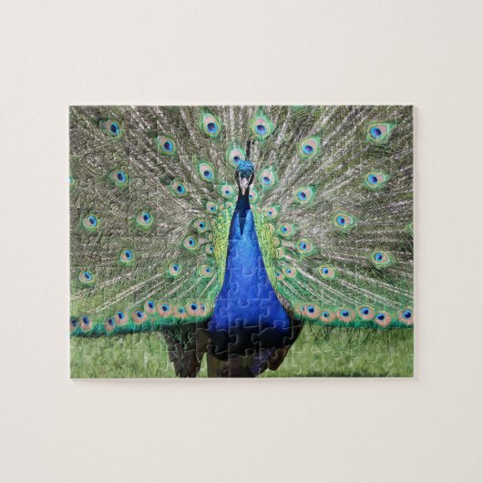 Peacock Puzzle Legpuzzel (Horizontaal)
