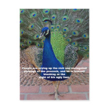 Peacock Quote Briefkaart