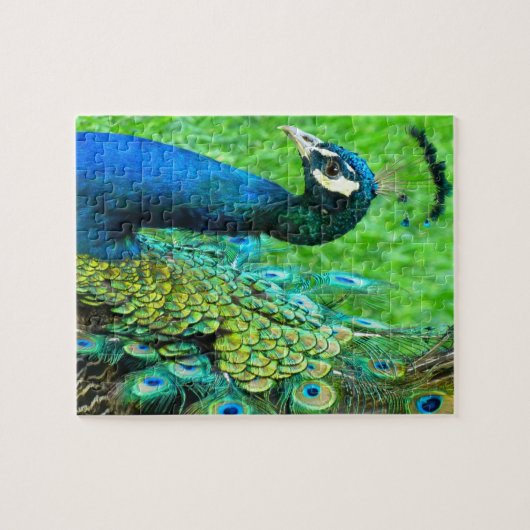 Peacock Radiance Puzzle Legpuzzel (Horizontaal)