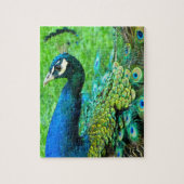 Peacock Radiance Puzzle Legpuzzel (Verticaal)