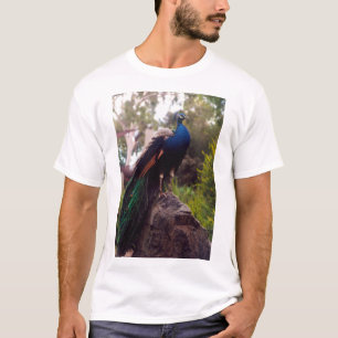 Peacock Rock 15-inch laptopskins T-shirt