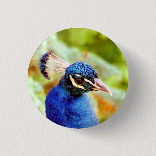 PEACOCK RONDE BUTTON 3,2 CM (Voorkant)