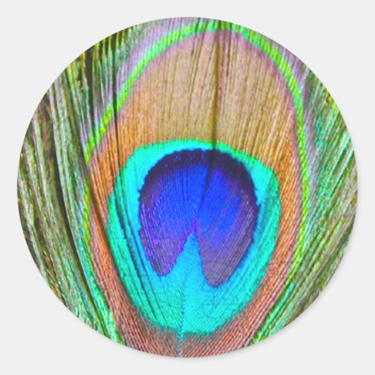 Peacock Ronde Sticker (Voorkant)
