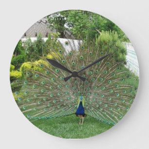 Peacock Round (groot) wandklok Grote Klok
