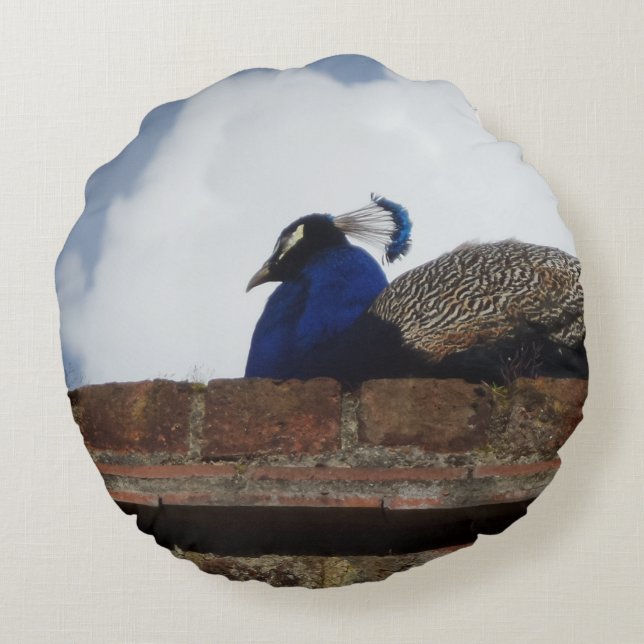 Peacock Round Pillow Rond Kussen (Achterkant)