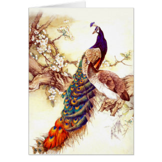 Peacock Royal