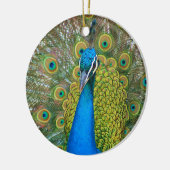 Peacock S9K.jpg Keramisch Ornament (Links)