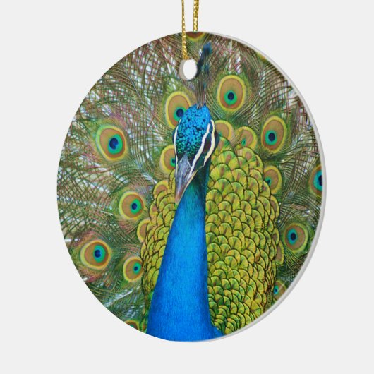 Peacock S9K.jpg Keramisch Ornament (Links)