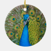 Peacock S9K.jpg Keramisch Ornament (Achterkant)