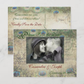 Peacock Save the Date Photo Briefkaart (Voorkant / Achterkant)