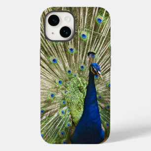 Peacock-scherm Case-Mate iPhone 14 Hoesje