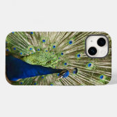 Peacock-scherm Case-Mate iPhone Case (Achterkant (horizontaal))
