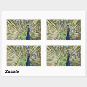 Peacock-scherm Rechthoekige Sticker (Vel)