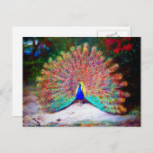  Peacock schilderen Briefkaart (Voorkant / Achterkant)