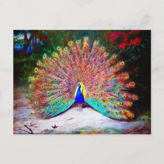  Peacock schilderen Briefkaart (Voorkant)