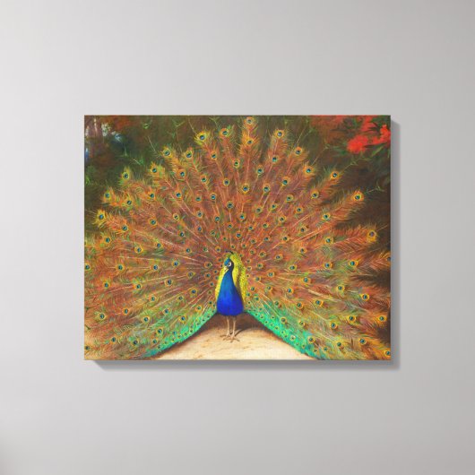  Peacock schilderen Canvas Afdruk (Voorkant)