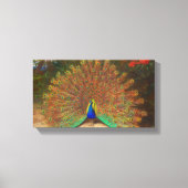 Peacock schilderen Canvas Afdruk (Voorkant)